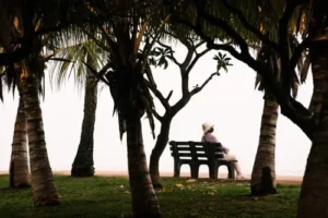 Discovering-the-Quiet-Beauty-of-Caseville