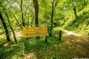 Hiking-Ferry-Bluff-State-Natural-Area