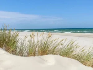 Relaxing-Stops-Along-Sand-Dunes-Beach